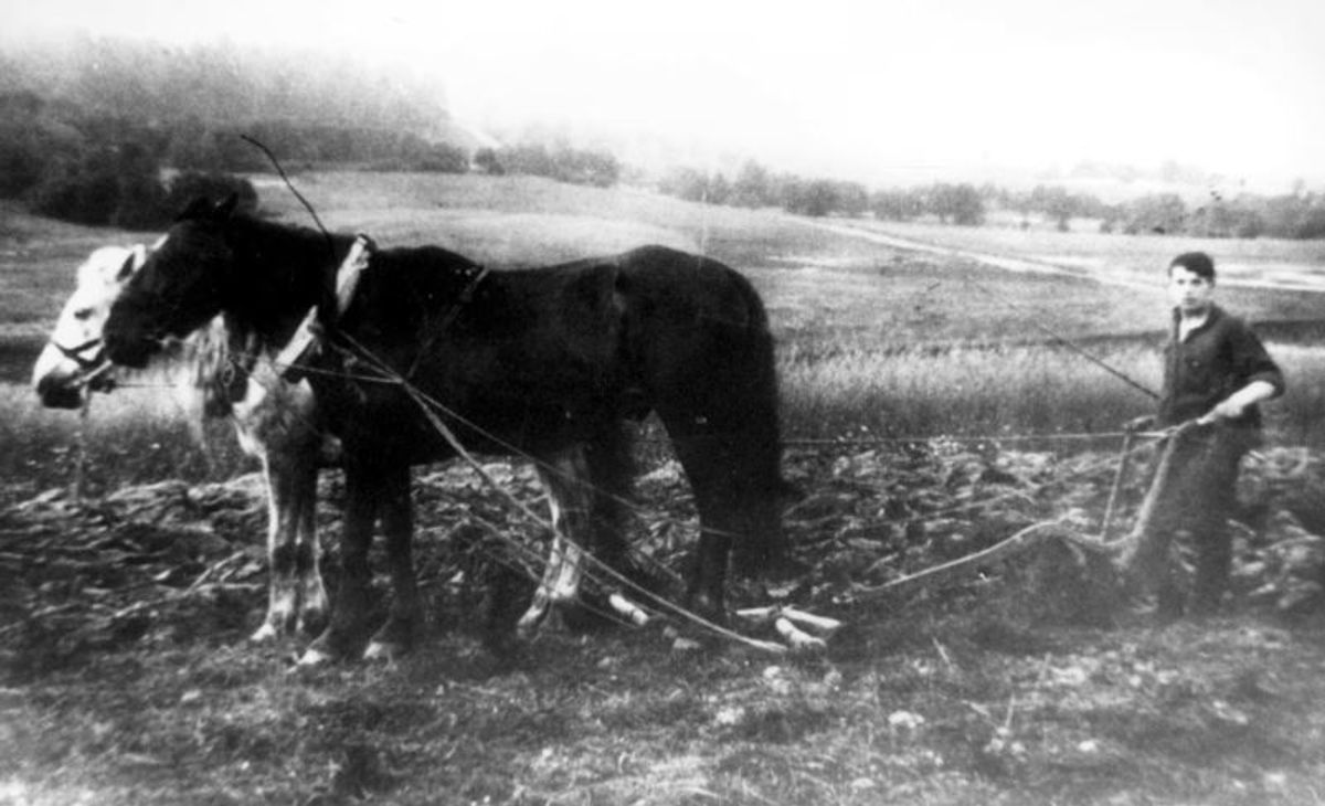 Kaimo žydai