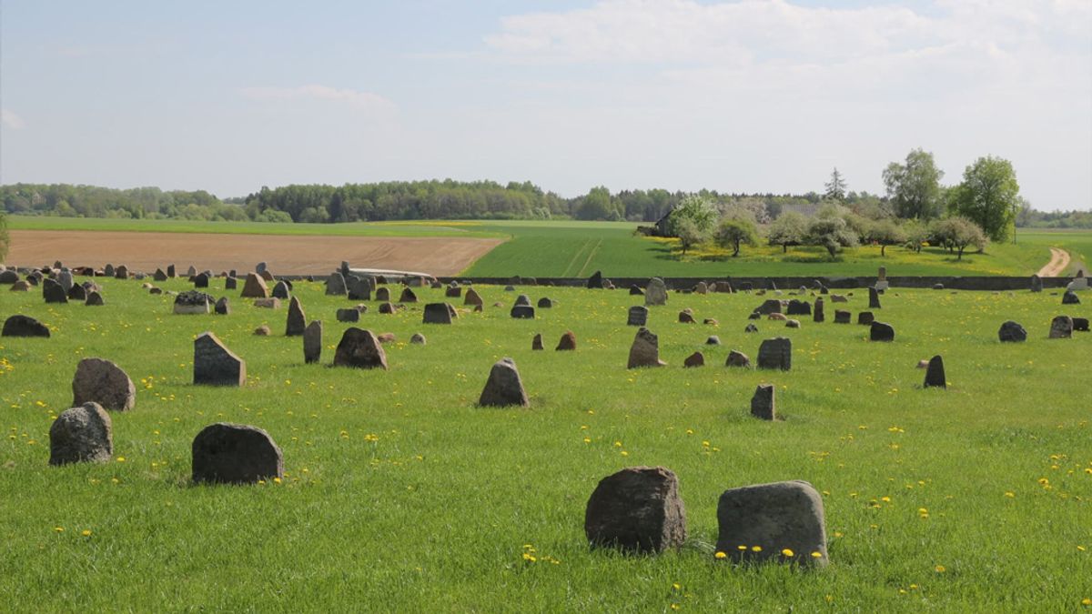 Sutvarkytos kapinės ir žudynių vietos – dingusiai bendruomenei atminti